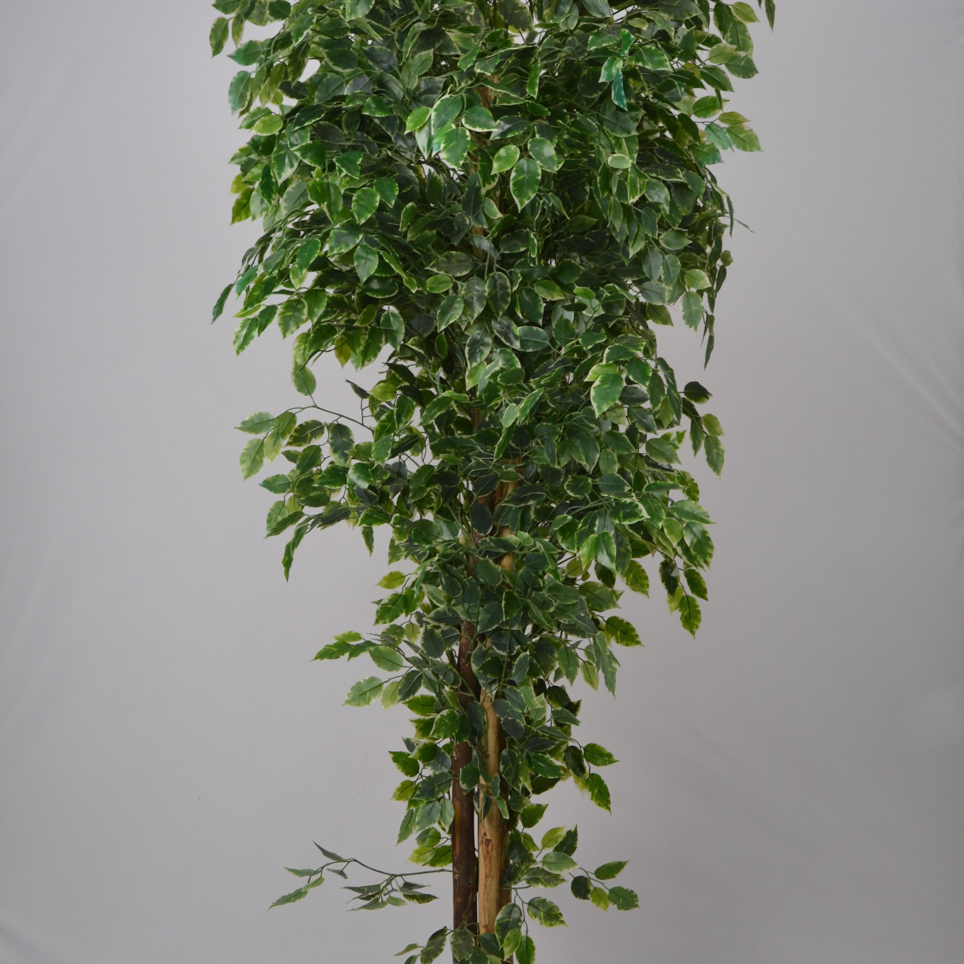 6 Ft Artificial Ficus Plant – Tall Realistic Faux Indoor Tree with Lush Green Leaves for Home, Office &amp; Corner Décor