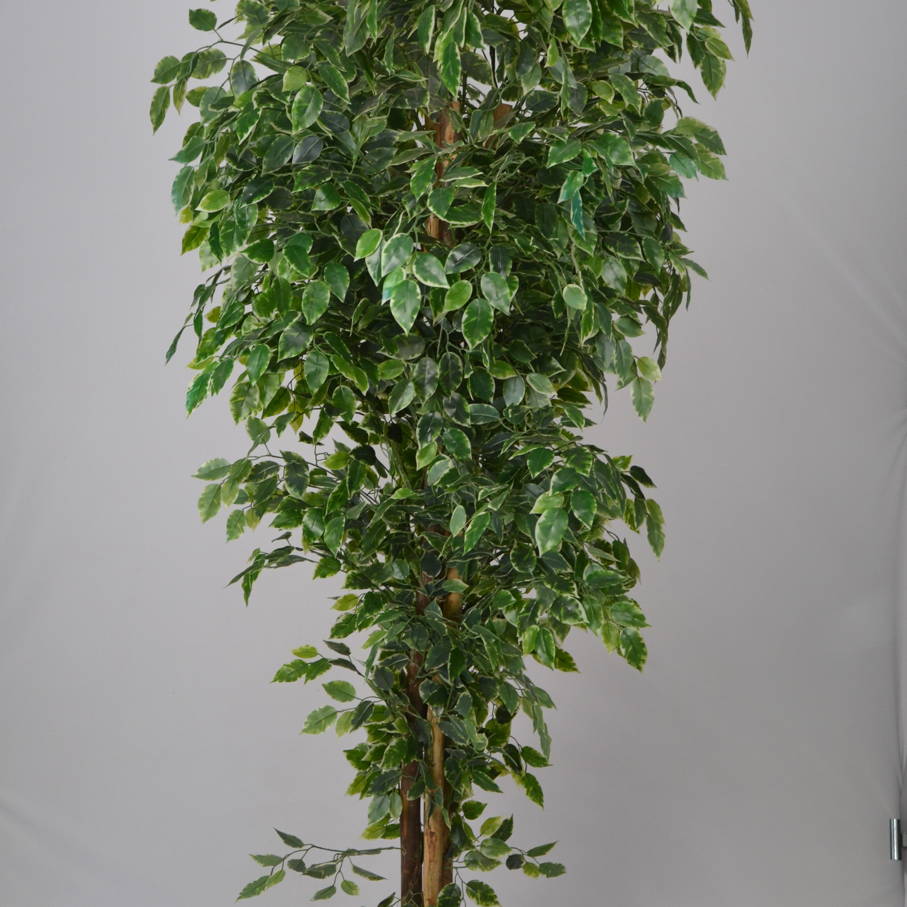6 Ft Artificial Ficus Plant – Tall Realistic Faux Indoor Tree with Lush Green Leaves for Home, Office &amp; Corner Décor