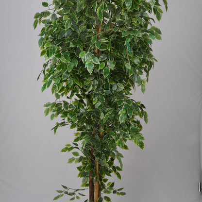 6 Ft Artificial Ficus Plant – Tall Realistic Faux Indoor Tree with Lush Green Leaves for Home, Office &amp; Corner Décor