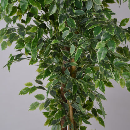 6 Ft Artificial Ficus Plant – Tall Realistic Faux Indoor Tree with Lush Green Leaves for Home, Office &amp; Corner Décor