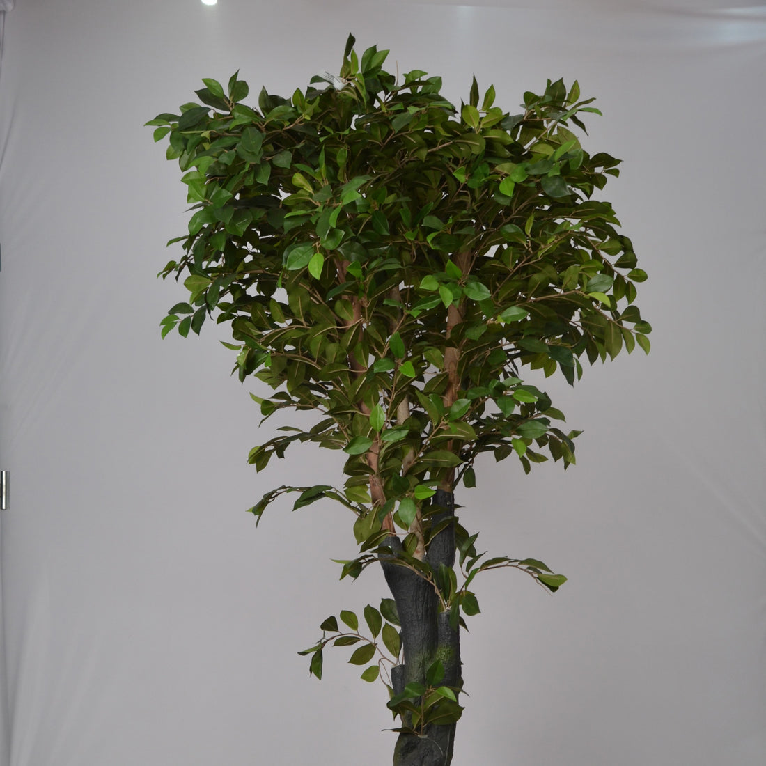 6 Ft Artificial Ficus Plant – Tall Realistic Faux Tree with Lush Green Leaves for Indoor Home, Office & Corner Décor