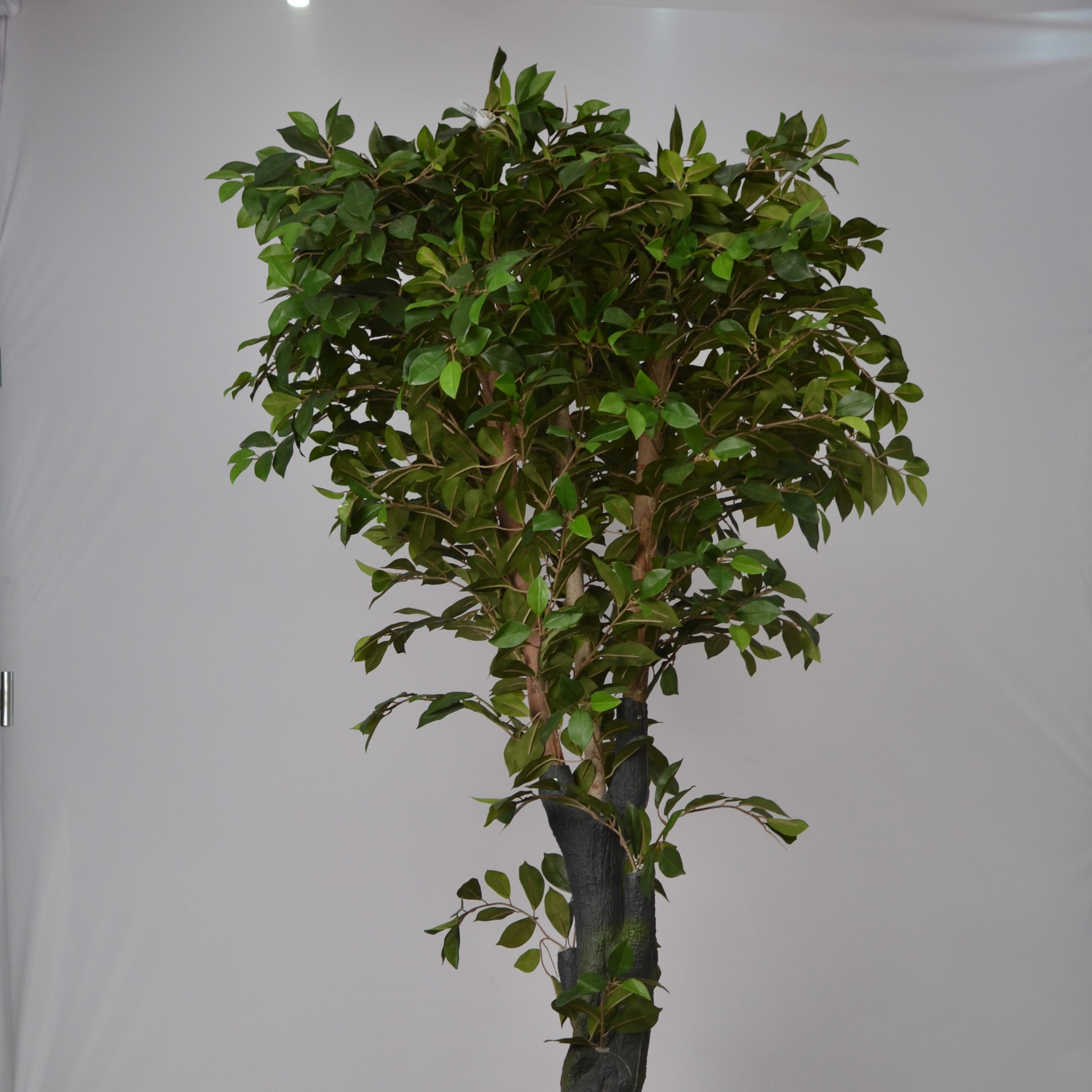 6 Ft Artificial Ficus Plant – Tall Realistic Faux Tree with Lush Green Leaves for Indoor Home, Office &amp; Corner Décor