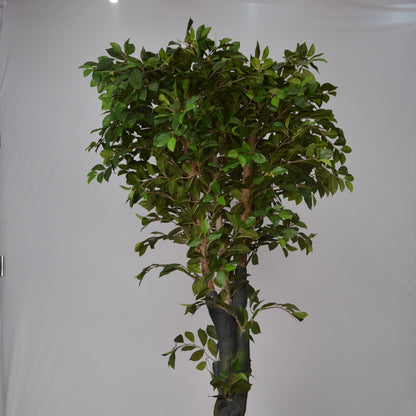 6 Ft Artificial Ficus Plant – Tall Realistic Faux Tree with Lush Green Leaves for Indoor Home, Office &amp; Corner Décor