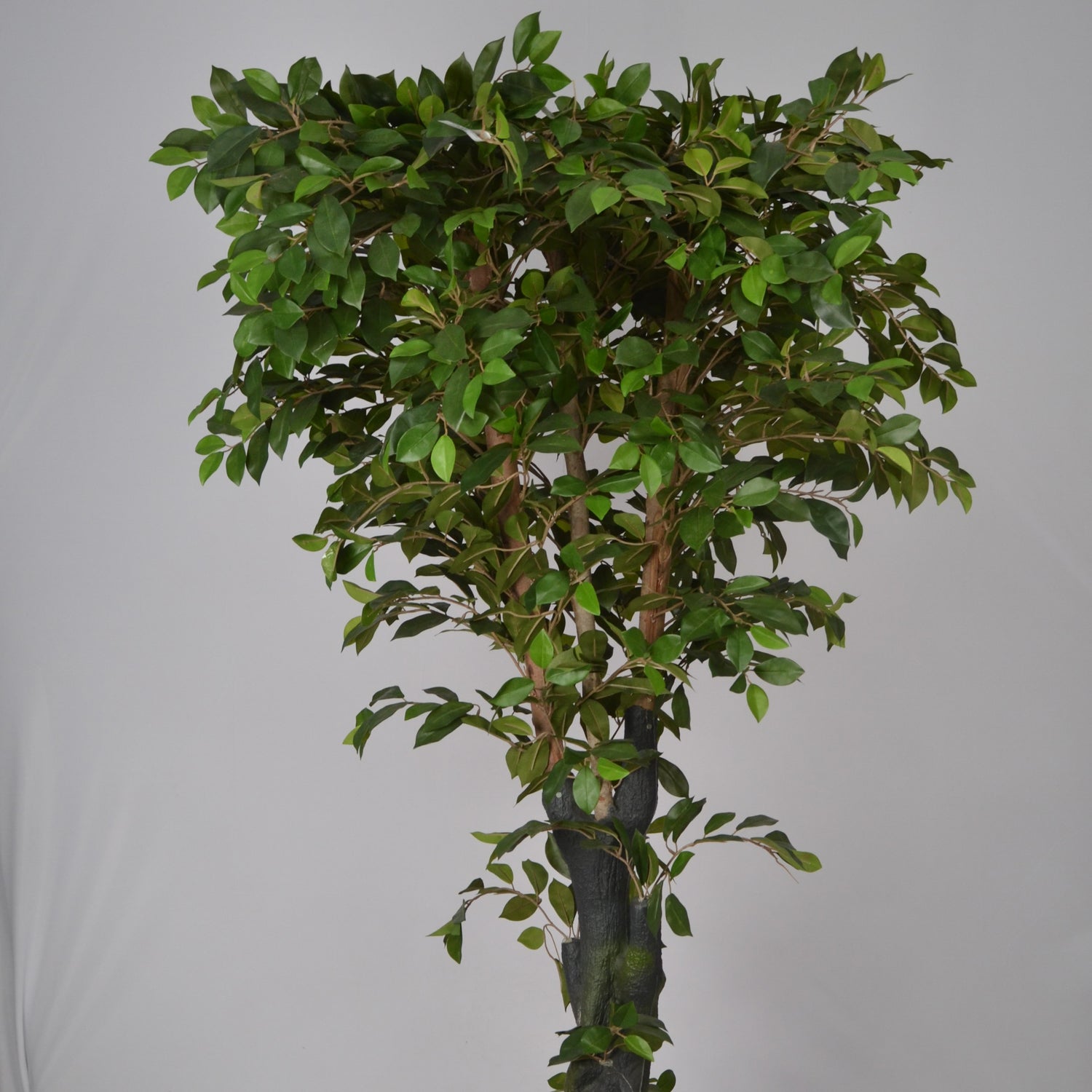 6 Ft Artificial Ficus Plant – Tall Realistic Faux Tree with Lush Green Leaves for Indoor Home, Office &amp; Corner Décor