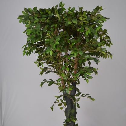 6 Ft Artificial Ficus Plant – Tall Realistic Faux Tree with Lush Green Leaves for Indoor Home, Office &amp; Corner Décor