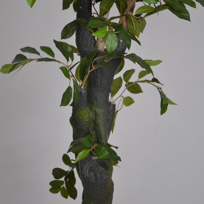 6 Ft Artificial Ficus Plant – Tall Realistic Faux Tree with Lush Green Leaves for Indoor Home, Office &amp; Corner Décor