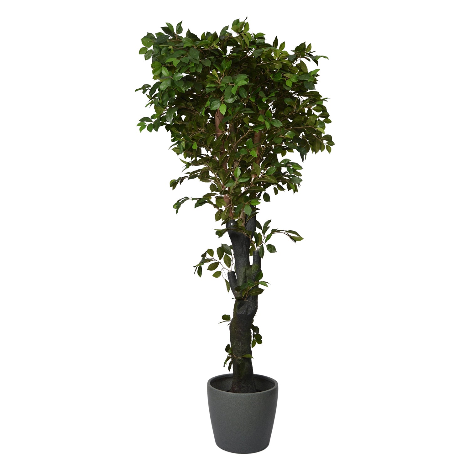 6 Ft Artificial Ficus Plant – Tall Realistic Faux Tree with Lush Green Leaves for Indoor Home, Office &amp; Corner Décor