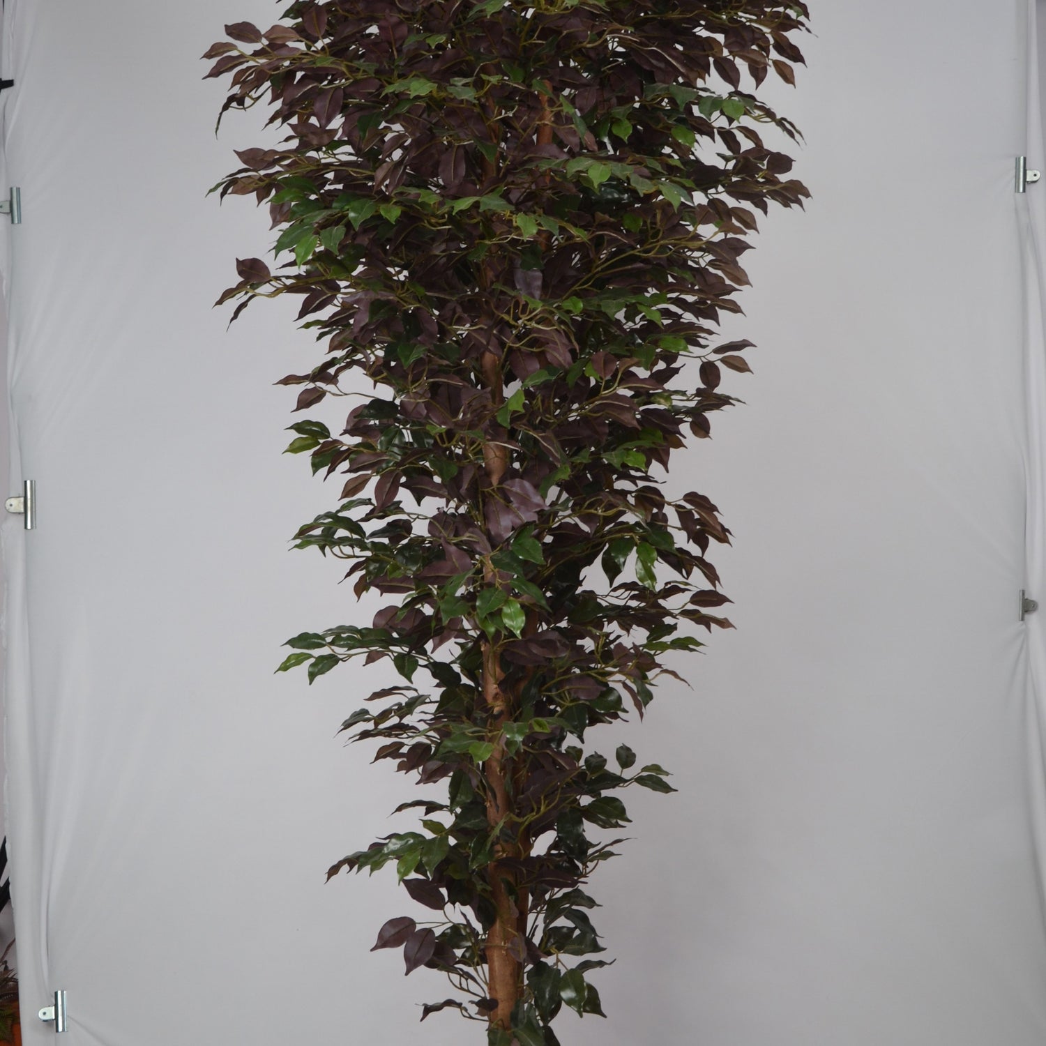 7 Ft Artificial Ficus Plant – Extra Tall Faux Tree with Realistic Green Leaves &amp; Natural Trunk for Large Indoor Home, Office &amp; Lobby Décor