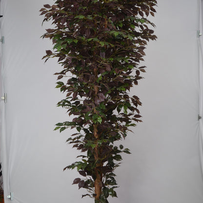7 Ft Artificial Ficus Plant – Extra Tall Faux Tree with Realistic Green Leaves &amp; Natural Trunk for Large Indoor Home, Office &amp; Lobby Décor