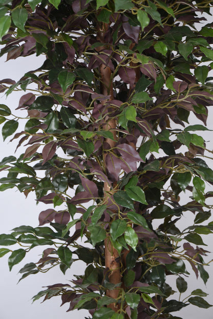 7 Ft Artificial Ficus Plant – Extra Tall Faux Tree with Realistic Green Leaves &amp; Natural Trunk for Large Indoor Home, Office &amp; Lobby Décor