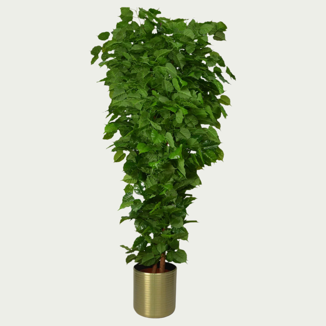 {} flanked by pendant lights in a relaxed interior (variation)