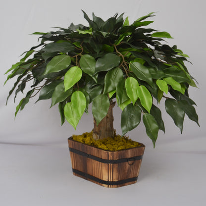 2 Ft Artificial Ficus Bonsai – Mini Faux Tree with Realistic Green Leaves &amp; Decorative Pot for Home, Office &amp; Zen Décor