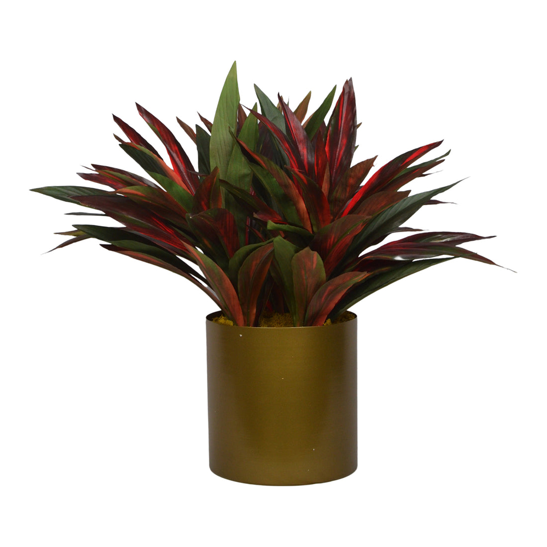2 Ft Artificial Dracaena Plant – Compact Faux Greenery with Red-Edged Leaves in Decorative Golden Pot for Home &amp; Office Décor