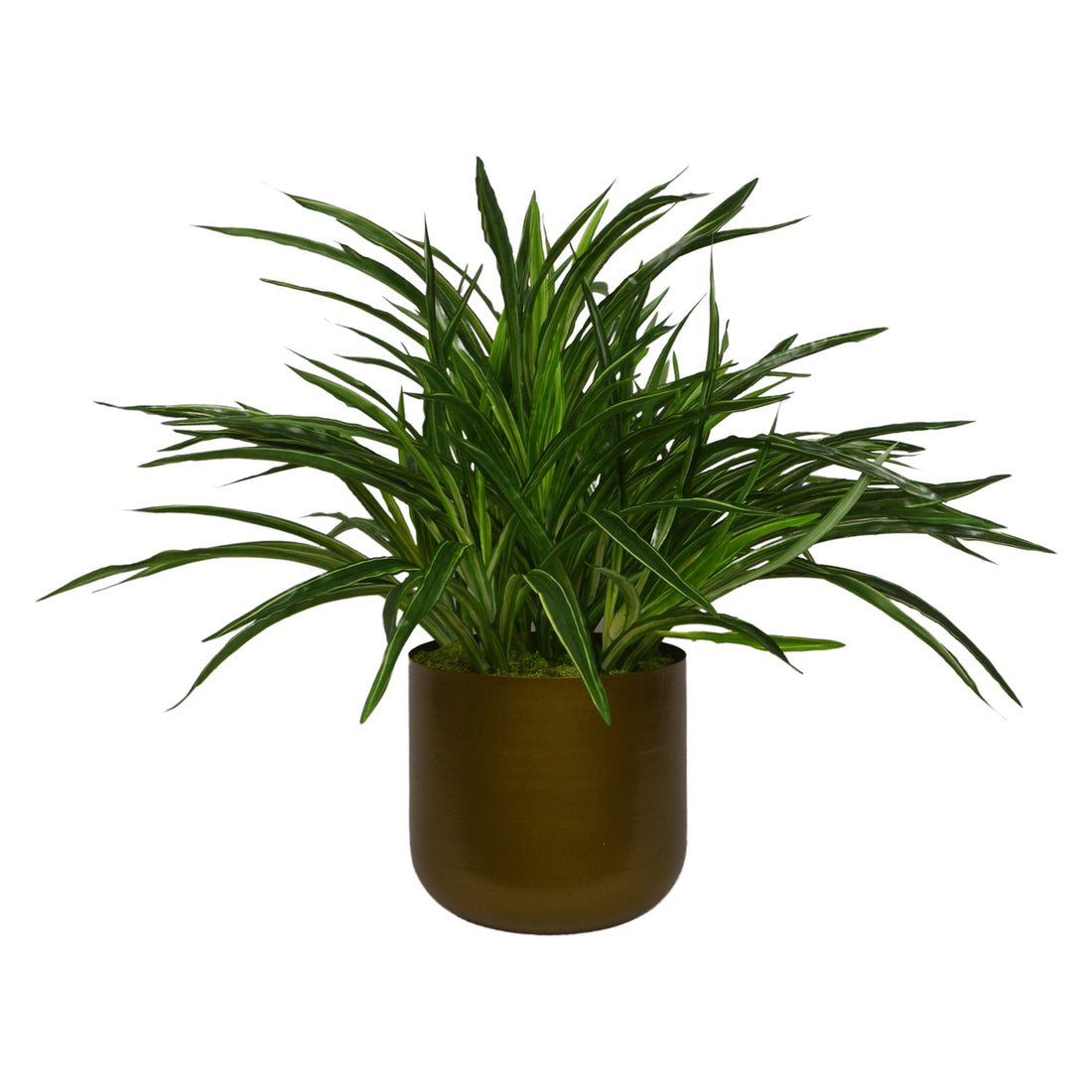 2 Ft Artificial Dracaena Plant – Lifelike Greenery with Red-Edged Leaves in Modern Decorative Metal Pot for Home &amp; Office Décor