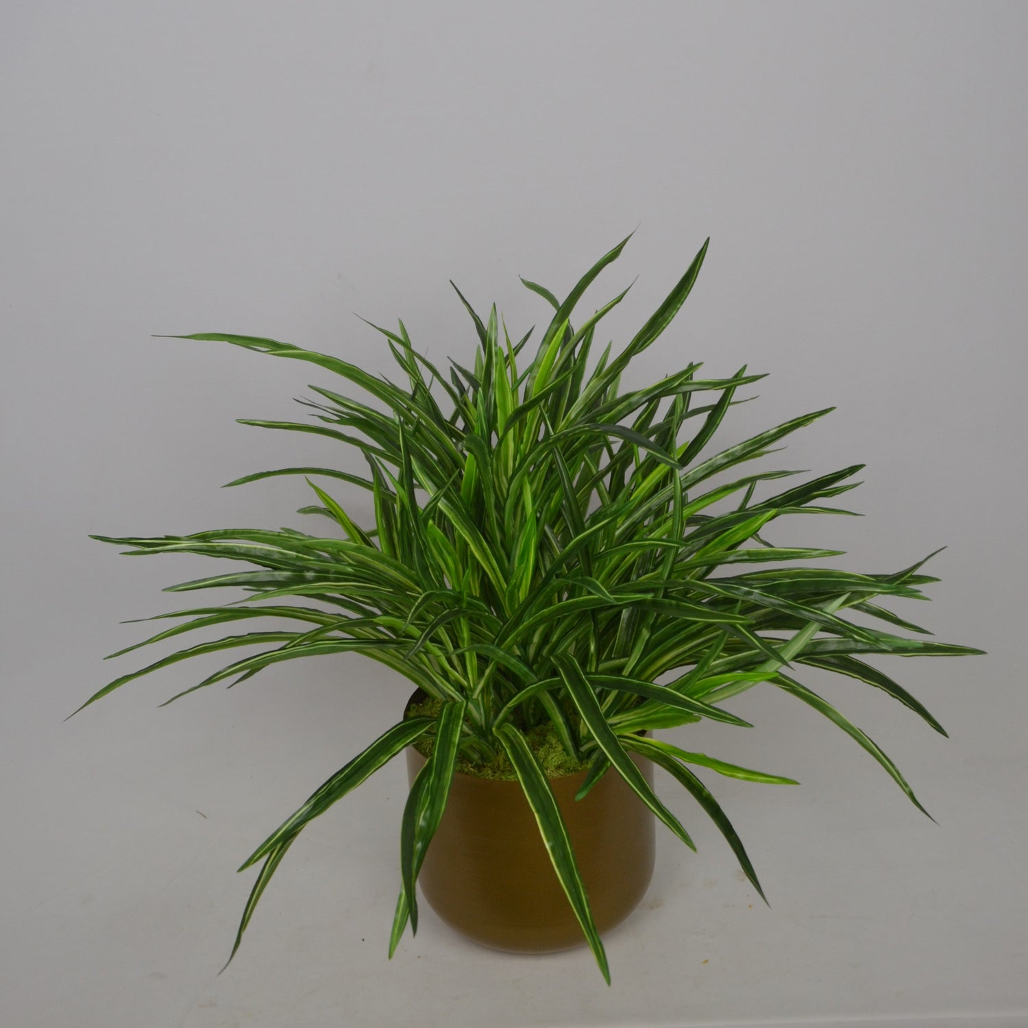 2 Ft Artificial Dracaena Plant – Lifelike Greenery with Red-Edged Leaves in Modern Decorative Metal Pot for Home &amp; Office Décor