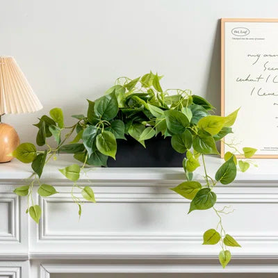 2 Ft Faux Foliage Plant in Pot – Lush Artificial Leaf Vine for Shelf, Desk &amp; Room