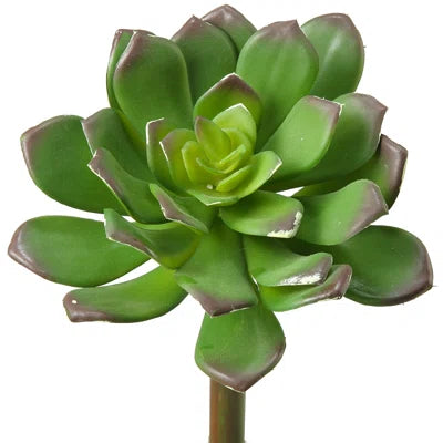 5 In. Large Artificial Echeveria Lotus Succulent – Realistic Faux Plant for Home, Office &amp; Terrarium