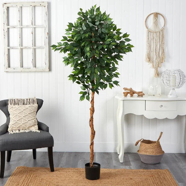 Lifelike 6ft faux ficus tree with lush green leaves and a realistic wood trunk for home and office décor.
