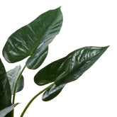 Realistic Artificial Anthurium Plant for Home and Office Decor