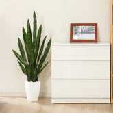 High-quality Rubber Snake Plant for contemporary home and office décor
