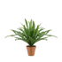 1.5 Ft Northlight Potted Artificial Green Boston Fern Plant - 17.5" – perfect for modern home decor