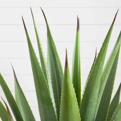2 Ft Nearly Natural 28-in Artificial Agave Plant – lifelike tropical plant alternative