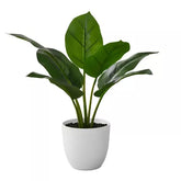 2 Ft Monarch Specialties Artificial Plant 17 inch Tall Aureum Indoor Faux Fake Table Greenery Potted Real Touch Decorative Green Leaves White Pot 4 out of 5 stars with 1 reviews 1 – lifelike tropical plant alternative