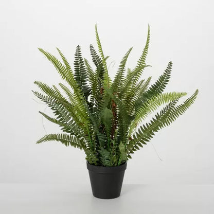 1.5 Ft Sullivans Artificial 21&quot; Lush Black-Potted Fern, Green – perfect for modern home decor