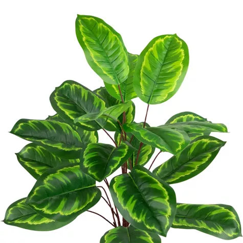 2 Ft Northlight Two-Tone Calathea Artificial Potted Plant - 30&quot; – enhances any living space naturally