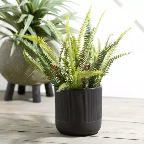 1.5 Ft Sullivans Artificial 21&quot; Lush Black-Potted Fern, Green – ideal for indoor botanical themes