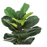 2 Ft Monarch Specialties Artificial Plant Tall Fiddle Tree Indoor Faux Fake Floor Greenery Potted Real Touch Decorative Green Leaves Beige Woven Basket – adds a lush green touch to interiors