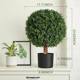 2 Ft Whizmax 24 Inch Artificial Topiary Boxwood Ball Trees,Faux Plant with Black Pot for Indoor Walkway, Entryway Decor,2 Pcs – lifelike tropical plant alternative