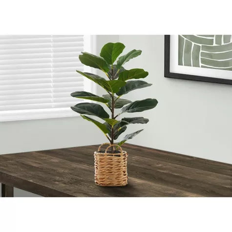 2 Ft Monarch Specialties Artificial Plant Tall Fiddle Tree Indoor Faux Fake Floor Greenery Potted Real Touch Decorative Green Leaves Beige Woven Basket – perfect for modern home decor