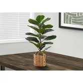 2 Ft Monarch Specialties Artificial Plant Tall Fiddle Tree Indoor Faux Fake Floor Greenery Potted Real Touch Decorative Green Leaves Beige Woven Basket – perfect for modern home decor