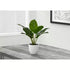 2 Ft Monarch Specialties Artificial Plant 17 inch Tall Aureum Indoor Faux Fake Table Greenery Potted Real Touch Decorative Green Leaves White Pot 4 out of 5 stars with 1 reviews 1 – perfect for modern home decor