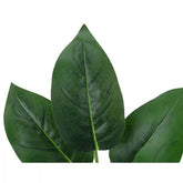 2 Ft Monarch Specialties Artificial Plant 17 inch Tall Aureum Indoor Faux Fake Table Greenery Potted Real Touch Decorative Green Leaves White Pot 4 out of 5 stars with 1 reviews 1 – ideal for indoor botanical themes