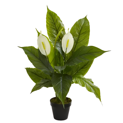 3 Ft Nearly Natural 26-in Spathiphyllum Artificial Plant (Real Touch) undefined out of 5 stars with 0 reviews be the – perfect for modern home decor