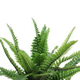 1.5 Ft Northlight Potted Artificial Green Boston Fern Plant - 17.5" – lifelike tropical plant alternative