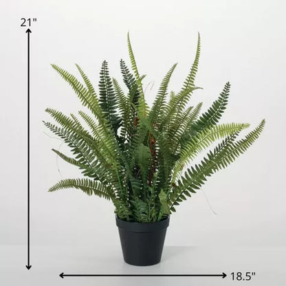 1.5 Ft Sullivans Artificial 21&quot; Lush Black-Potted Fern, Green – adds a lush green touch to interiors