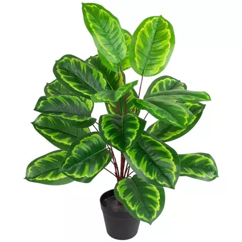 2 Ft Northlight Two-Tone Calathea Artificial Potted Plant - 30&quot; – lifelike tropical plant alternative
