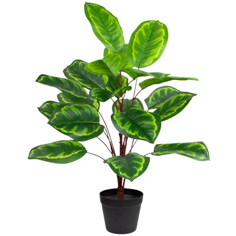 2 Ft Northlight Two-Tone Calathea Artificial Potted Plant - 30&quot; – perfect for modern home decor