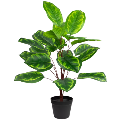 2 Ft Northlight Two-Tone Calathea Artificial Potted Plant - 30&quot; – perfect for modern home decor