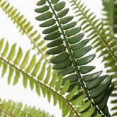 1.5 Ft Sullivans Artificial 21" Lush Black-Potted Fern, Green – lifelike tropical plant alternative