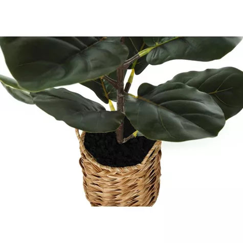 2 Ft Monarch Specialties Artificial Plant Tall Fiddle Tree Indoor Faux Fake Floor Greenery Potted Real Touch Decorative Green Leaves Beige Woven Basket – lifelike tropical plant alternative