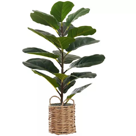 2 Ft Monarch Specialties Artificial Plant Tall Fiddle Tree Indoor Faux Fake Floor Greenery Potted Real Touch Decorative Green Leaves Beige Woven Basket – ideal for indoor botanical themes