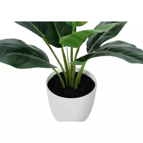 2 Ft Monarch Specialties Artificial Plant 17 inch Tall Aureum Indoor Faux Fake Table Greenery Potted Real Touch Decorative Green Leaves White Pot 4 out of 5 stars with 1 reviews 1 – adds a lush green touch to interiors