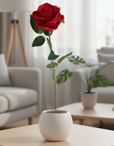Red rose in a white vase on a wooden table in a living room.