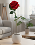 Red rose in a white vase on a wooden table in a living room.