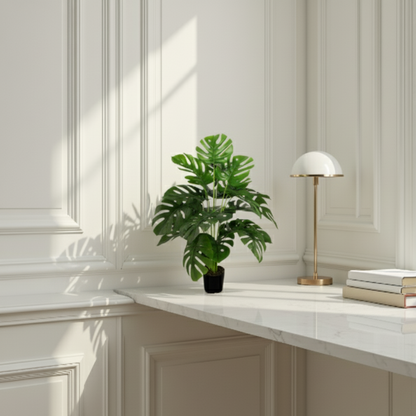 Modern interior with a plant, lamp, and books on a white surface.