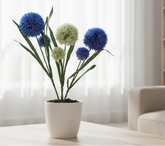 Potted plant with blue and white flowers on a table in a living room setting.